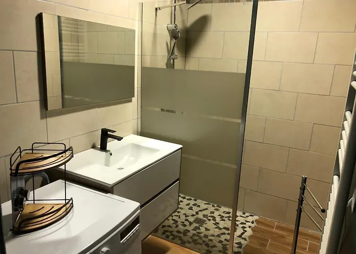 12 Couchages Proche Piste Et De Randonnees Du Lioran 公寓 *